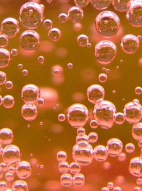 Bubbles Bubbles