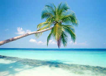 Beach2