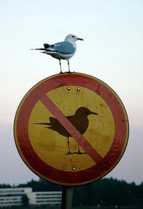 Irony