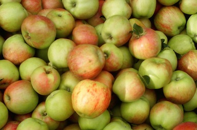 GravApples