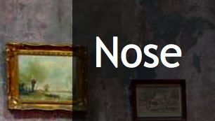 Nose