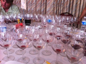 Wine Comp