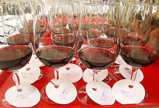 winejudging